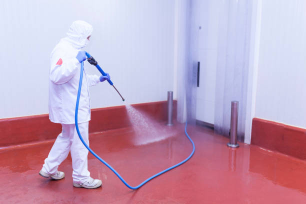 Reliable Hermitage, PA Pressure Washing Services Solutions